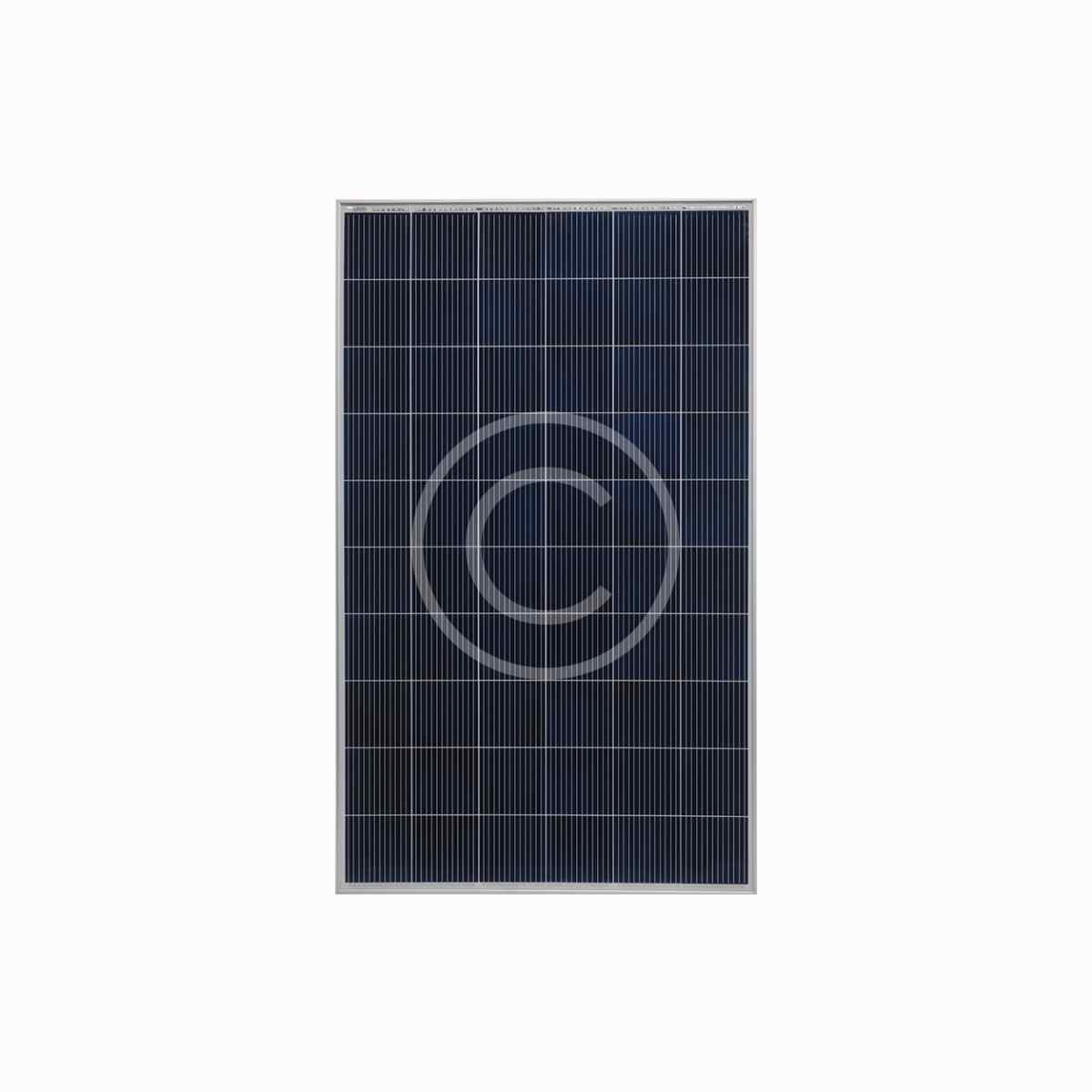 Longi Solar - Image 3